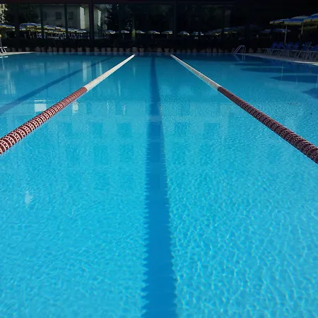 Dante Family チェルヴィア